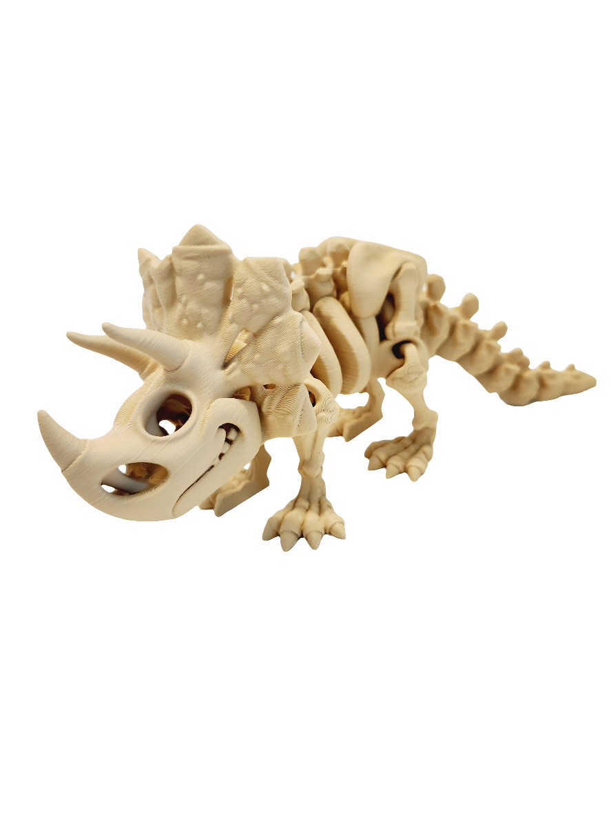 Bone Flexi Prints