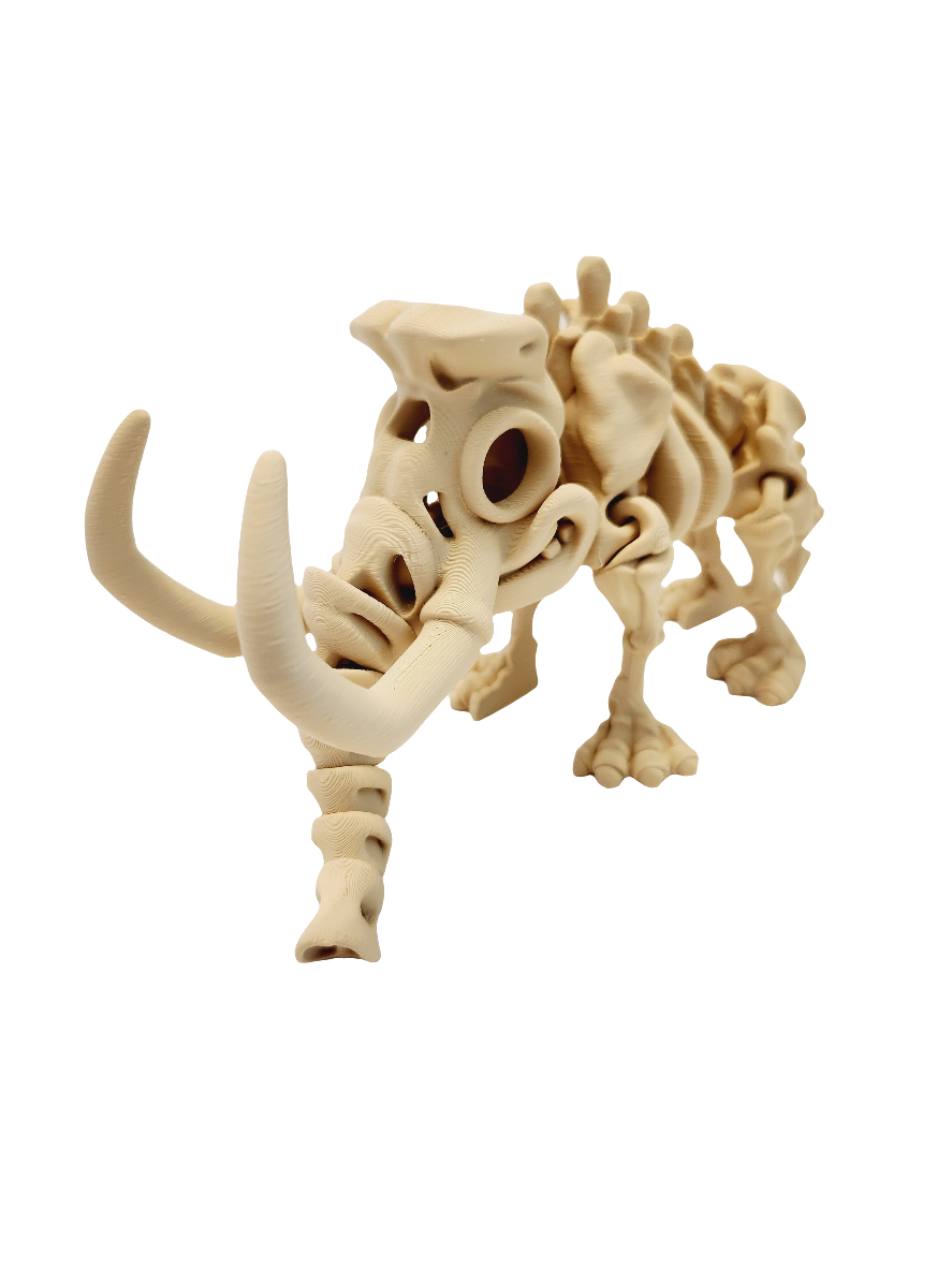 Bone Flexi Prints