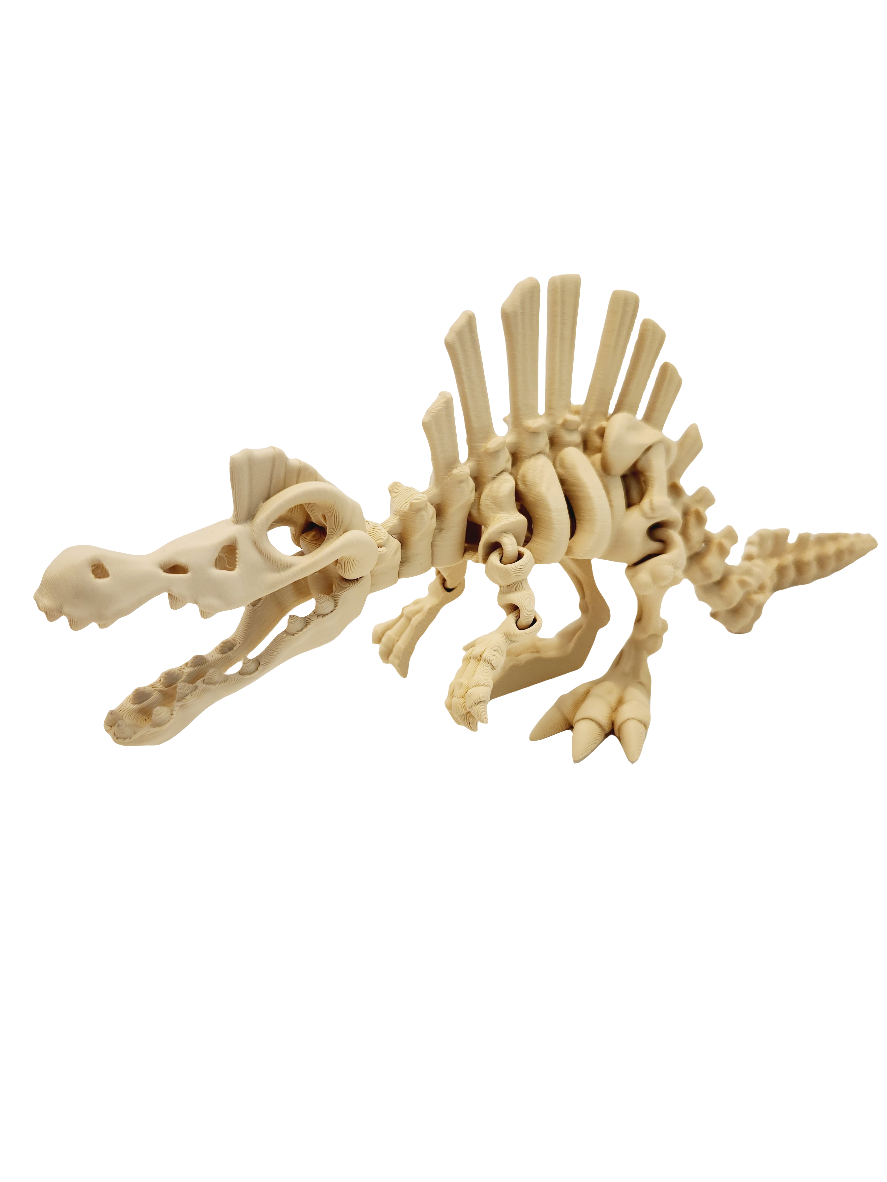 Bone Flexi Prints